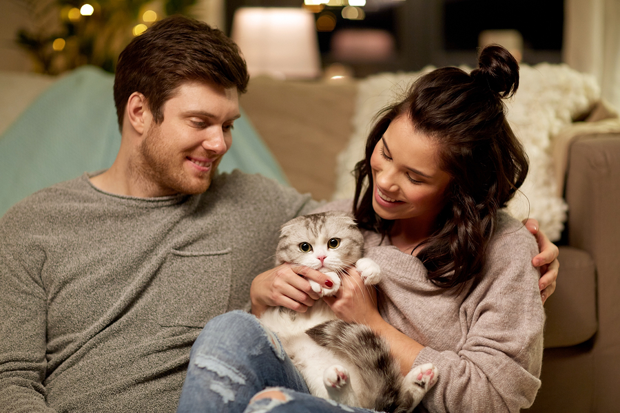 happy couple with cat at home; cats make great pets!