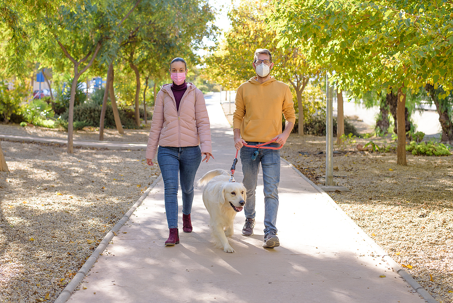 Young couple in medical surgical masks holding walks with dog in the summer park; socializing during pandemic