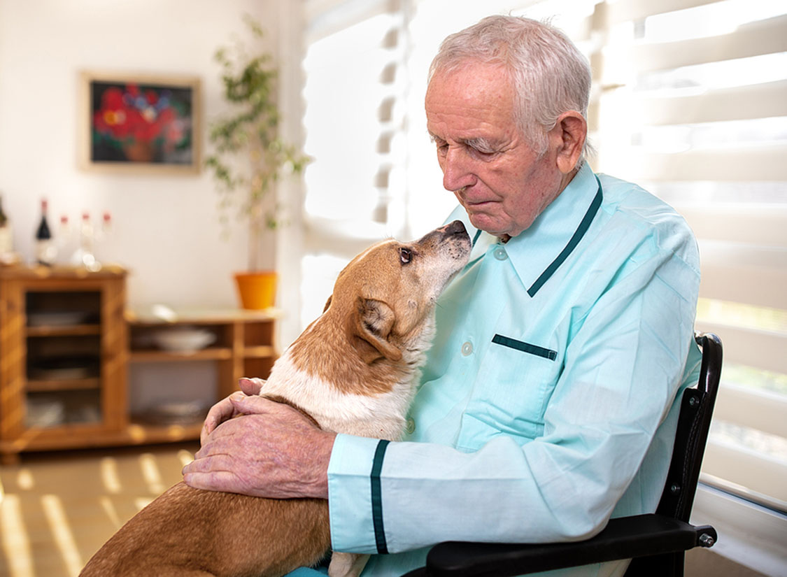Senior man with his dog sitting in chair beside window and sharing love; signs and ways dogs show love