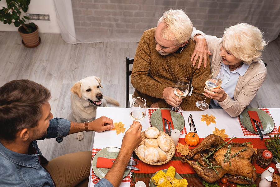 angle view of golden retriever near family holding glasses of white wine during thanksgiving dinner; thanksgiving food safe for dogs