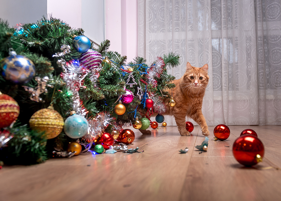 fallen Christmas tree. Ruins and the end of Christmas. broken ornaments on the floor. Ginger cat hide behind knocked over christmas tree; holiday safety for cats