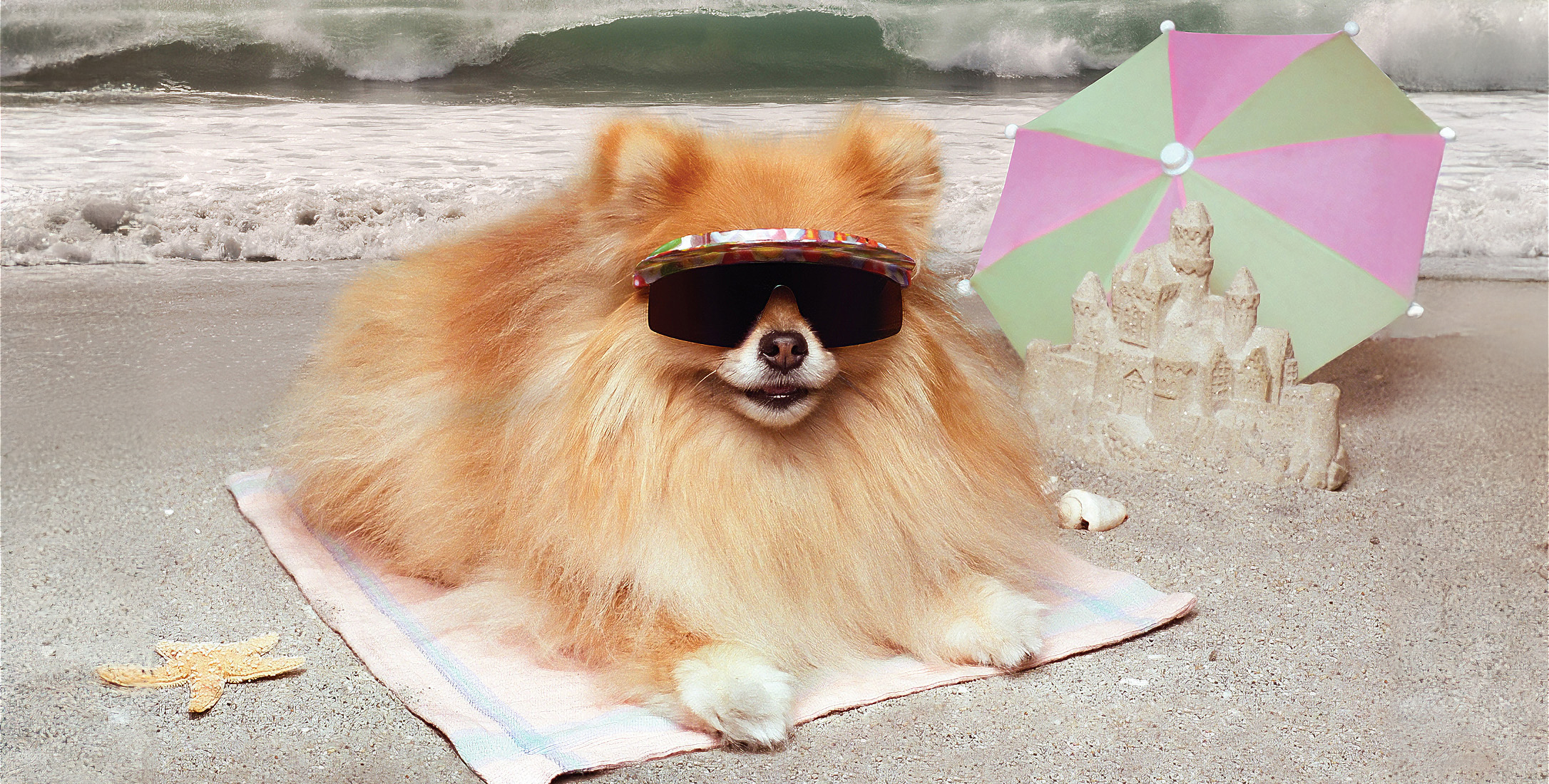 pomeranian dog wearing sunglasses lying on a towel at the beach with sandcastle umbrella and waves in the background; summer safety tips