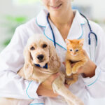 Dog and cat seeing a veterinarian for a routine check-up